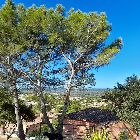 Studio Du Roc Des Garrigues Apartment Langlade Exterior photo