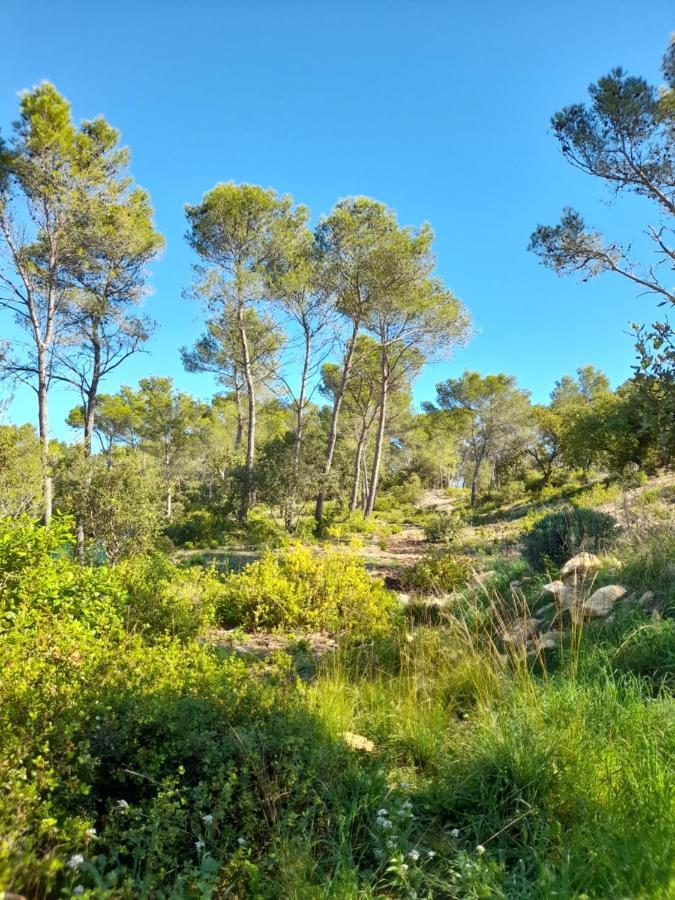 Studio Du Roc Des Garrigues *
